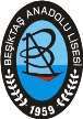 Beşiktaş Anatolian High School logo